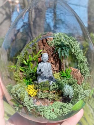 Bulle œuf L 'île perdue